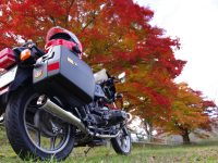 DATZ Blog | thumbnail