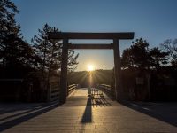 DATZ Blog | thumbnail