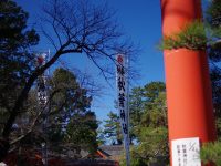 DATZ Blog | thumbnail