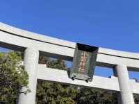 DATZ Blog | thumbnail