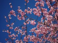 DATZ Blog | thumbnail