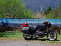 DATZ Blog | thumbnail